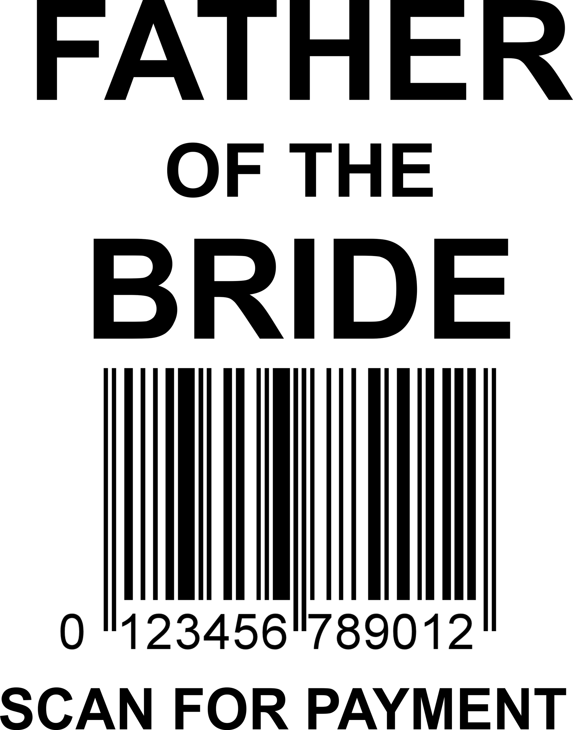 Father of the Bride image 0